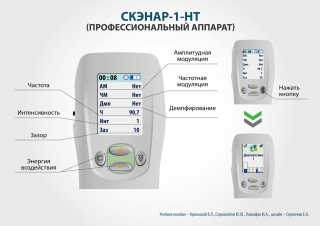 СКЭНАР-1-НТ (исполнение 01)  в Новокузнецке купить Медицинский интернет магазин - denaskardio.ru 
